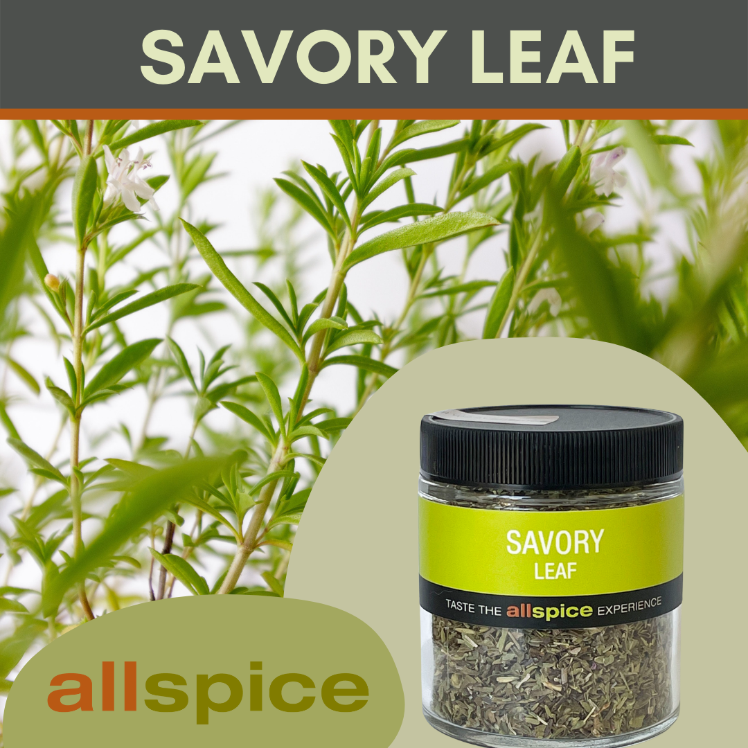 Spotlight Spice Savory Leaf Allspice Culinarium