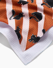 Load image into Gallery viewer, Geometry Kitchen Tea Towel: Striped Black Cats Orange
