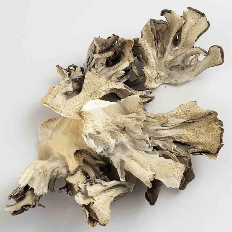 Hen Of The Woods Mushrooms 1 oz bag